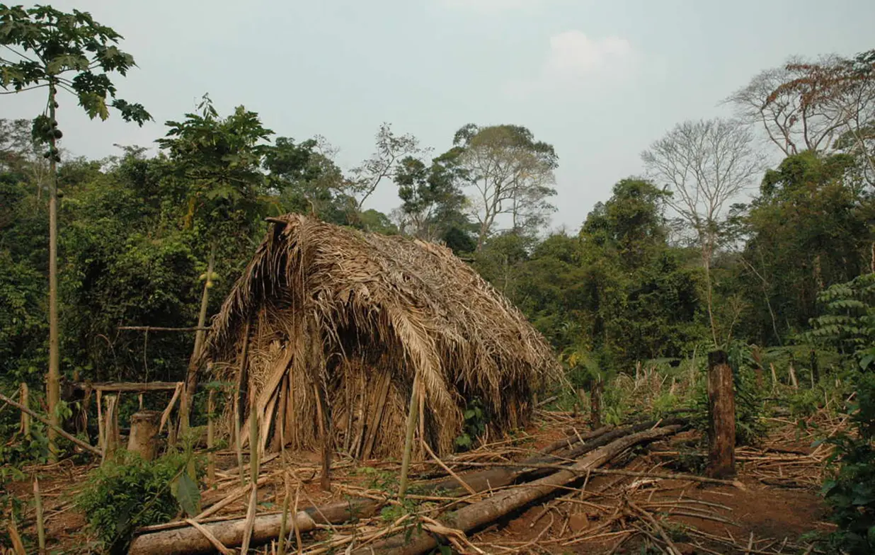 Brazil: Last Member Of An Isolated Amazonian Indigenous Tribe Dies