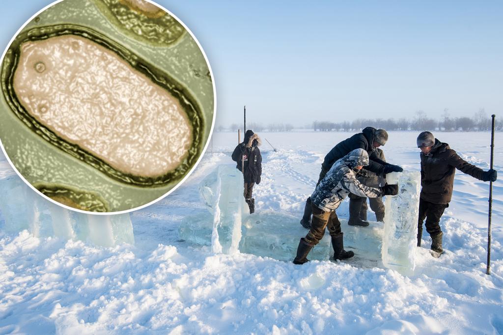 Scientists Discover 48,500-Year-Old 'Zombie Virus' in Siberian Permafrost