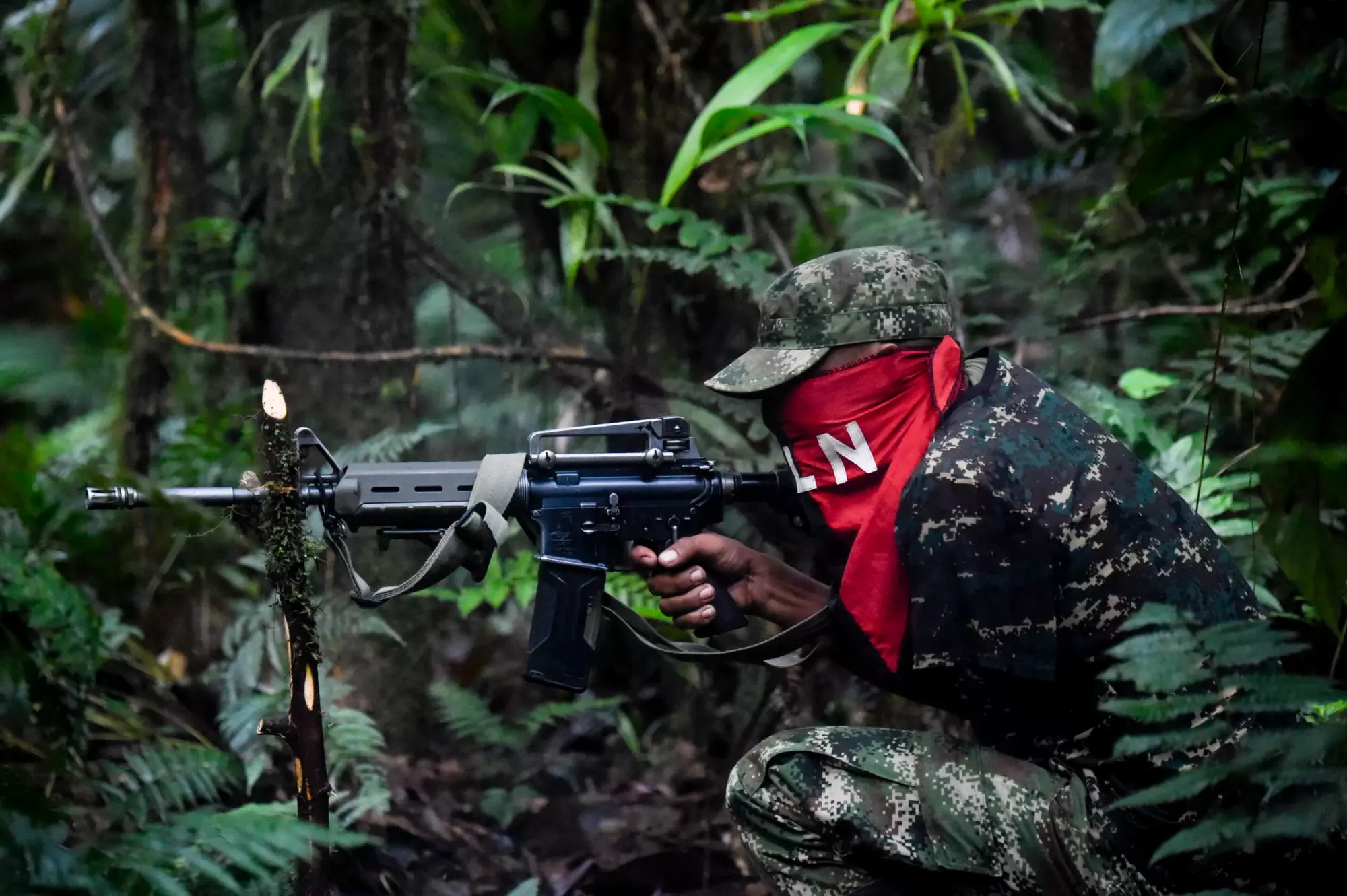 Colombia: ELN Rebel Group Denies Ceasefire