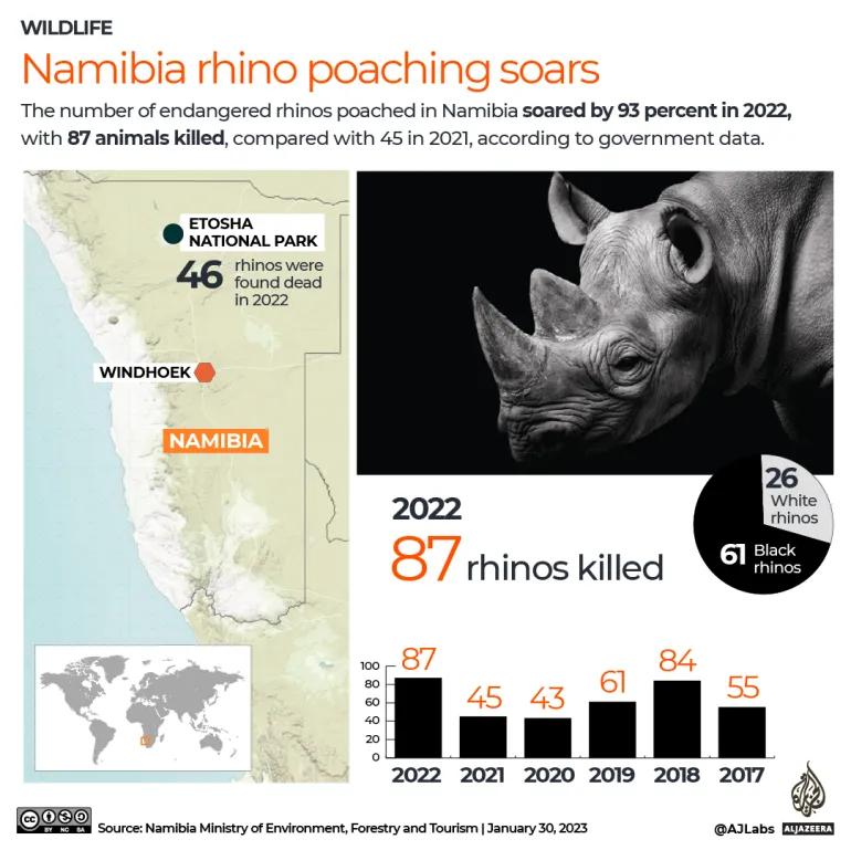 Rhino Poaching Surges in Namibia