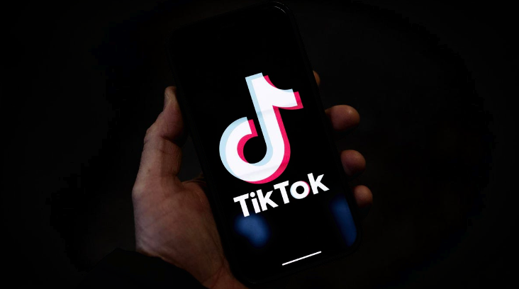 France Bans TikTok From Government Devices