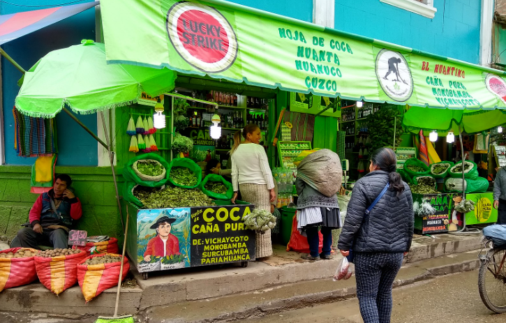 Peru's Coca Leaf Cultivation Reaches Record High