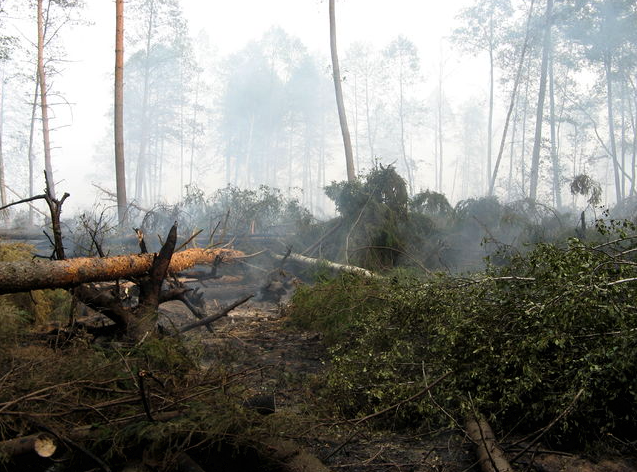 Siberia: State of Emergency Declared Over Wildfires