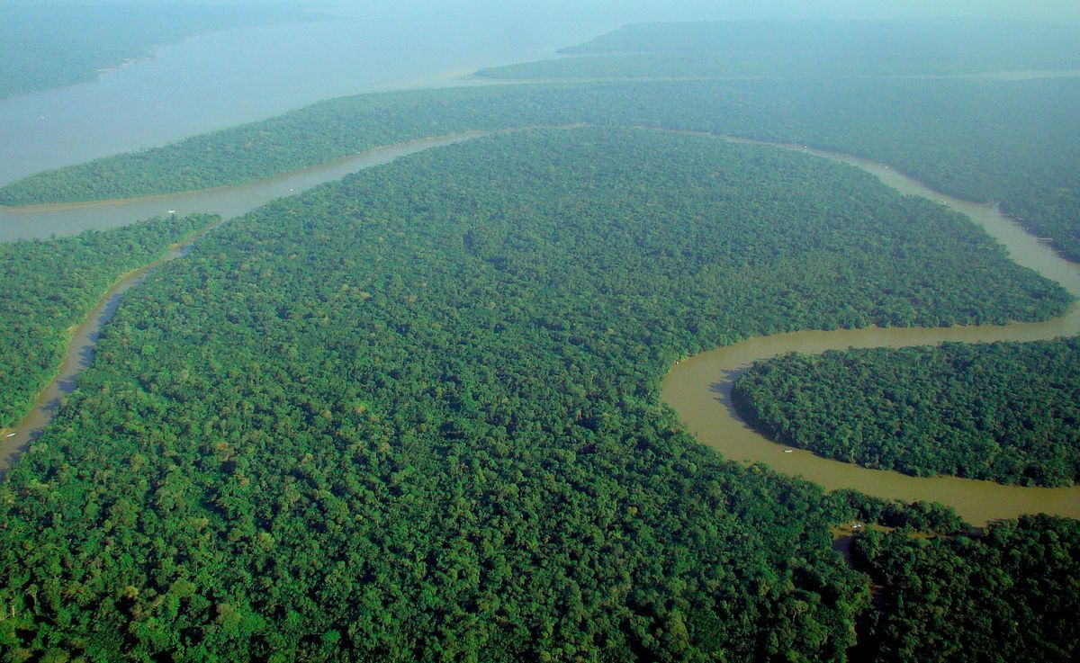 Brazil Hosts Amazon Rainforest Summit