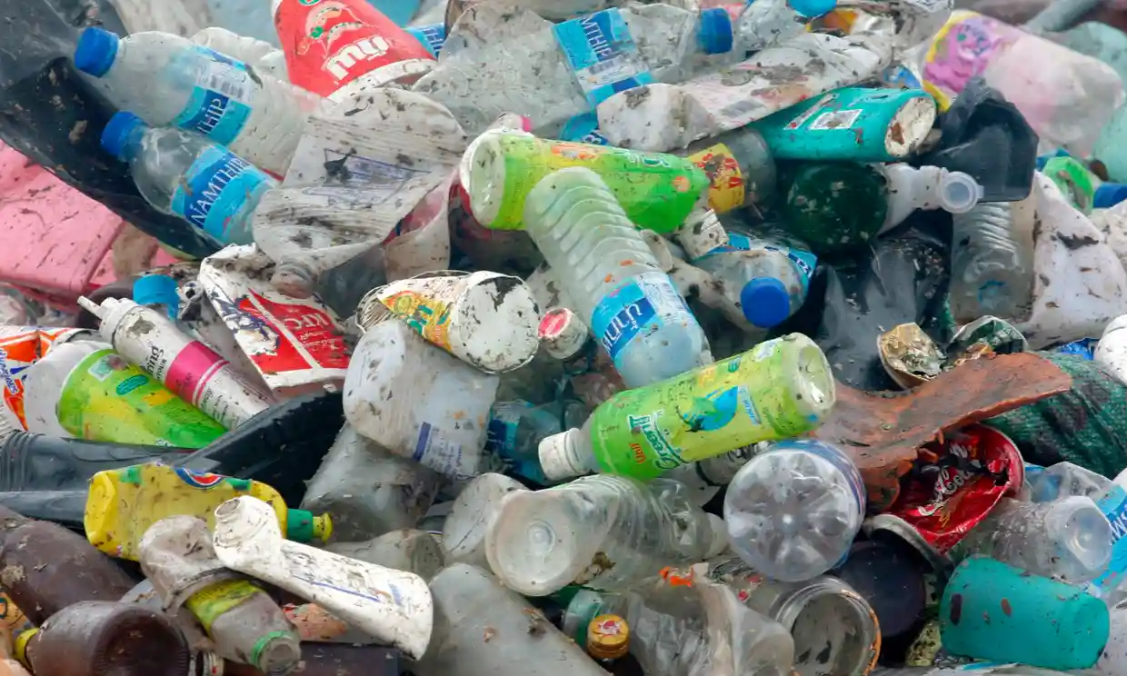 Scientists Find Microbes That Digest Plastic at Low Temperatures post image