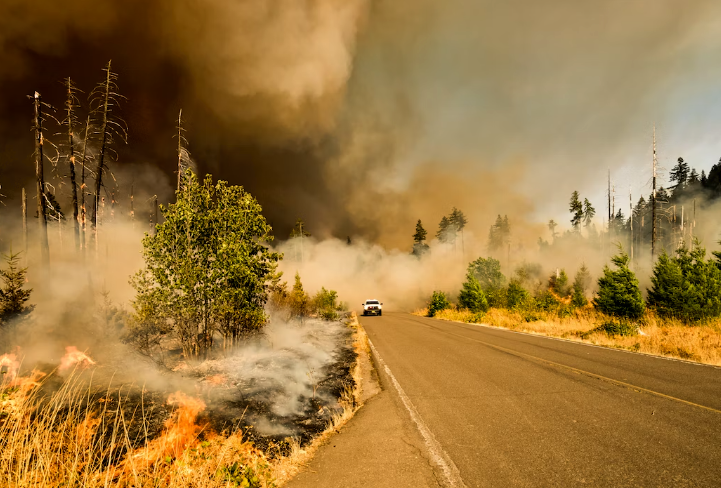 Mediterranean Wildfires Kill Dozens post image