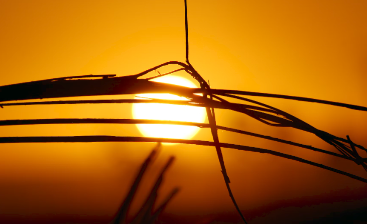 UN: July Set to be Hottest Month Ever Recorded post image