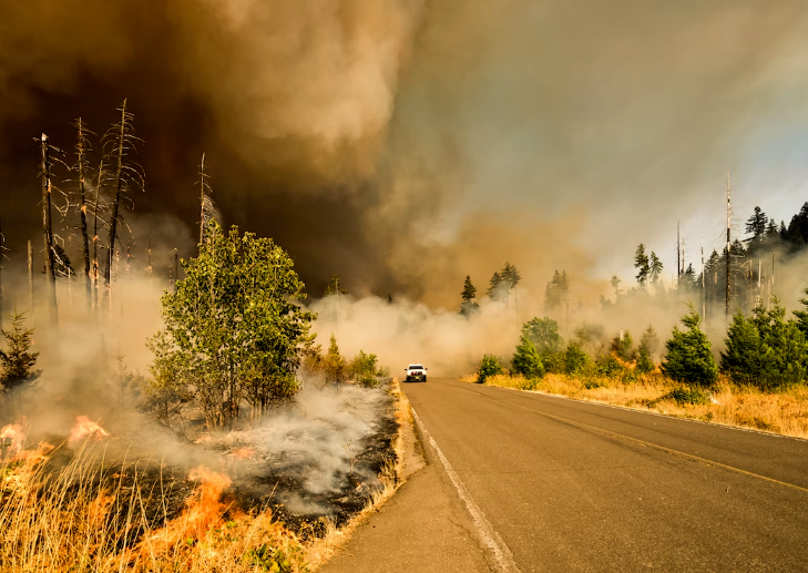 Hawaii Wildfires Kill At Least 36, Force Thousands to Evacuate post image