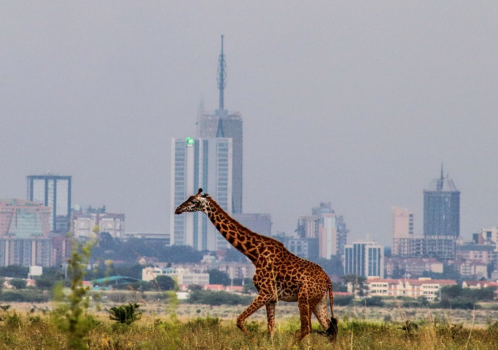 Nairobi: First African Climate Summit Underway post image